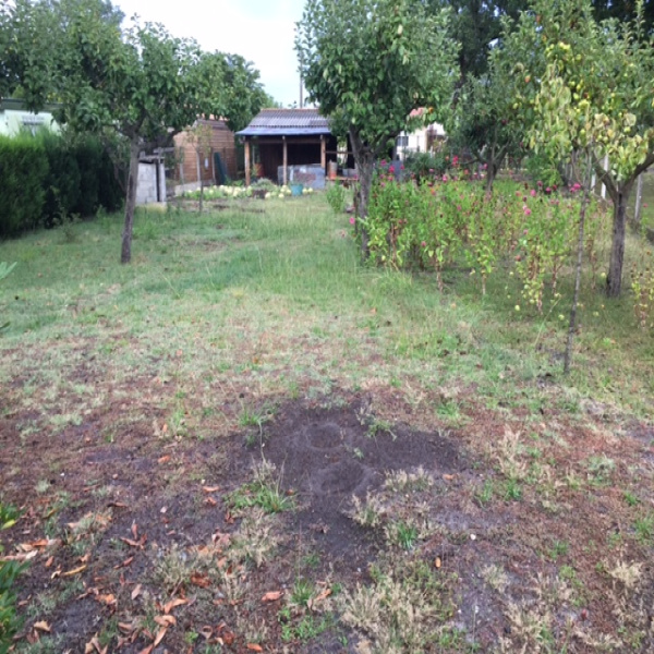 Offres de vente Terrain Sanguinet 40460