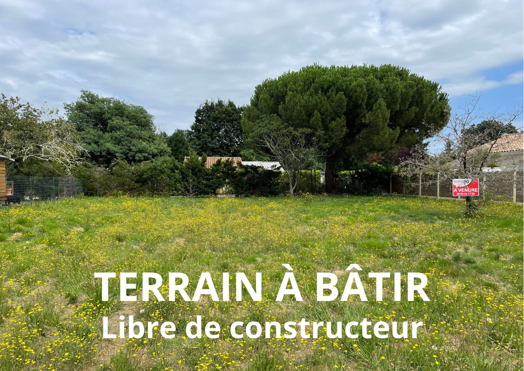 Agence immobilière de HOME 40